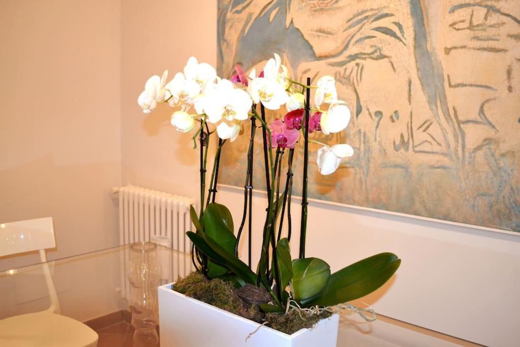 Trastevere Vatican Luxury 5 Stars